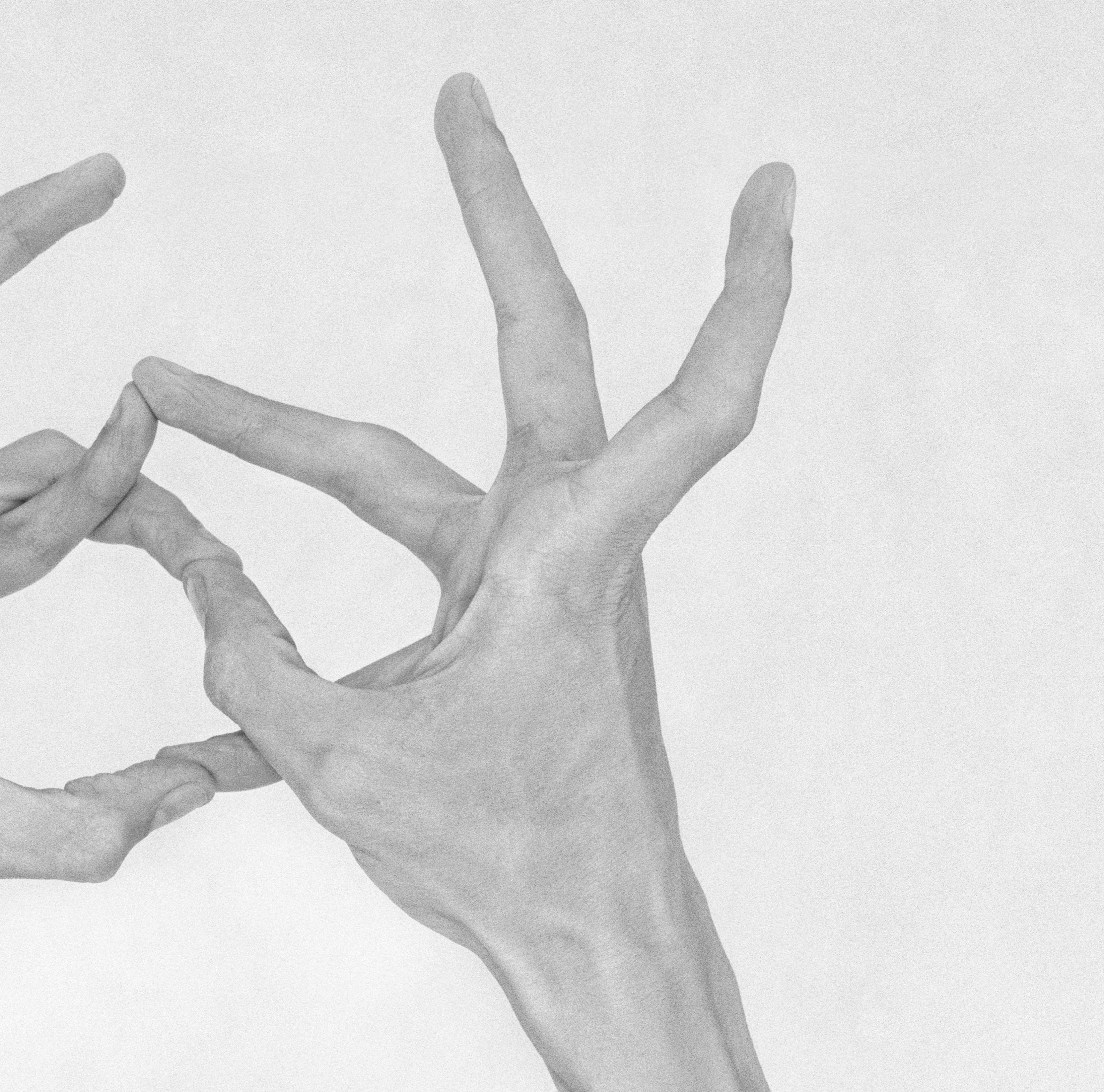 Untitled XXIII. From the Series Chiromorphose. Hands. Black & White Photography For Sale 2