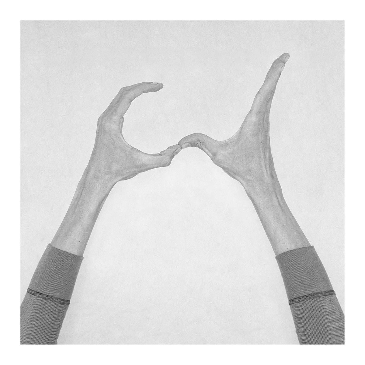 Untitled XXX, XXXI, and XXXIII Hands  From the Series Chiromorphose.  - Photograph by Nico Baixas / Gos-com-fuig