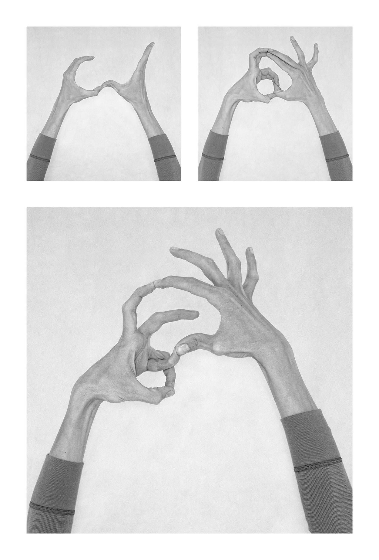 Nico Baixas / Gos-com-fuig Figurative Photograph - Untitled XXX, XXXI, and XXXIII Hands  From the Series Chiromorphose. 