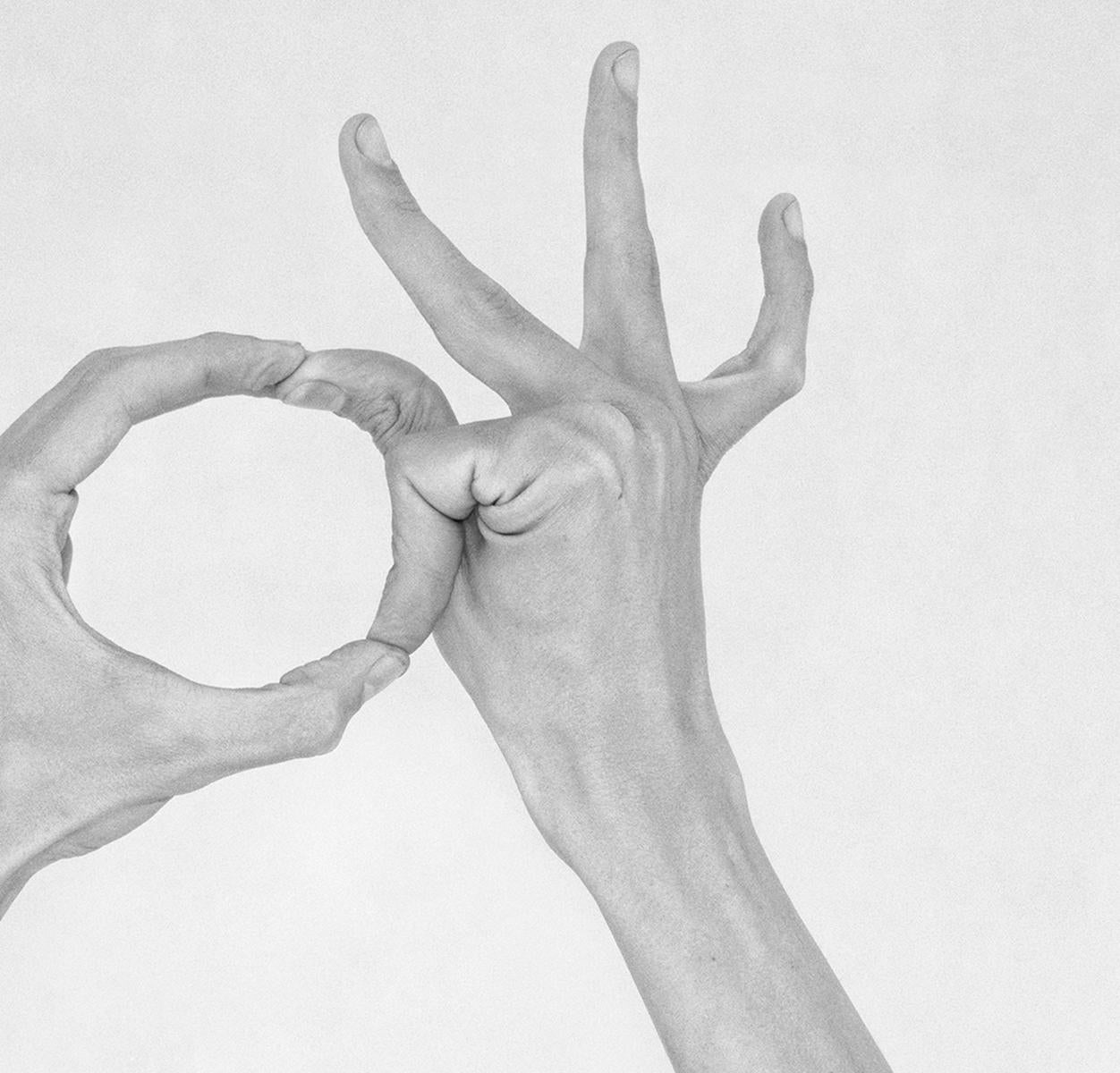 Untitled XXXII. From the Series Chiromorphose. Hands. Black & White Photography For Sale 1