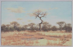Nico Coetzee - 1988 Olio, Paesaggio sudafricano