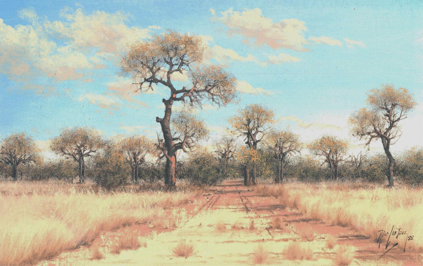 Nico Coetzee - Olio 1988, pista sudafricana in vendita 3