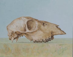 ''Hallazgo arqueológico'' Pintura holandesa contemporánea de un esqueleto