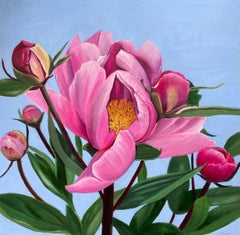 Magneta Peonies