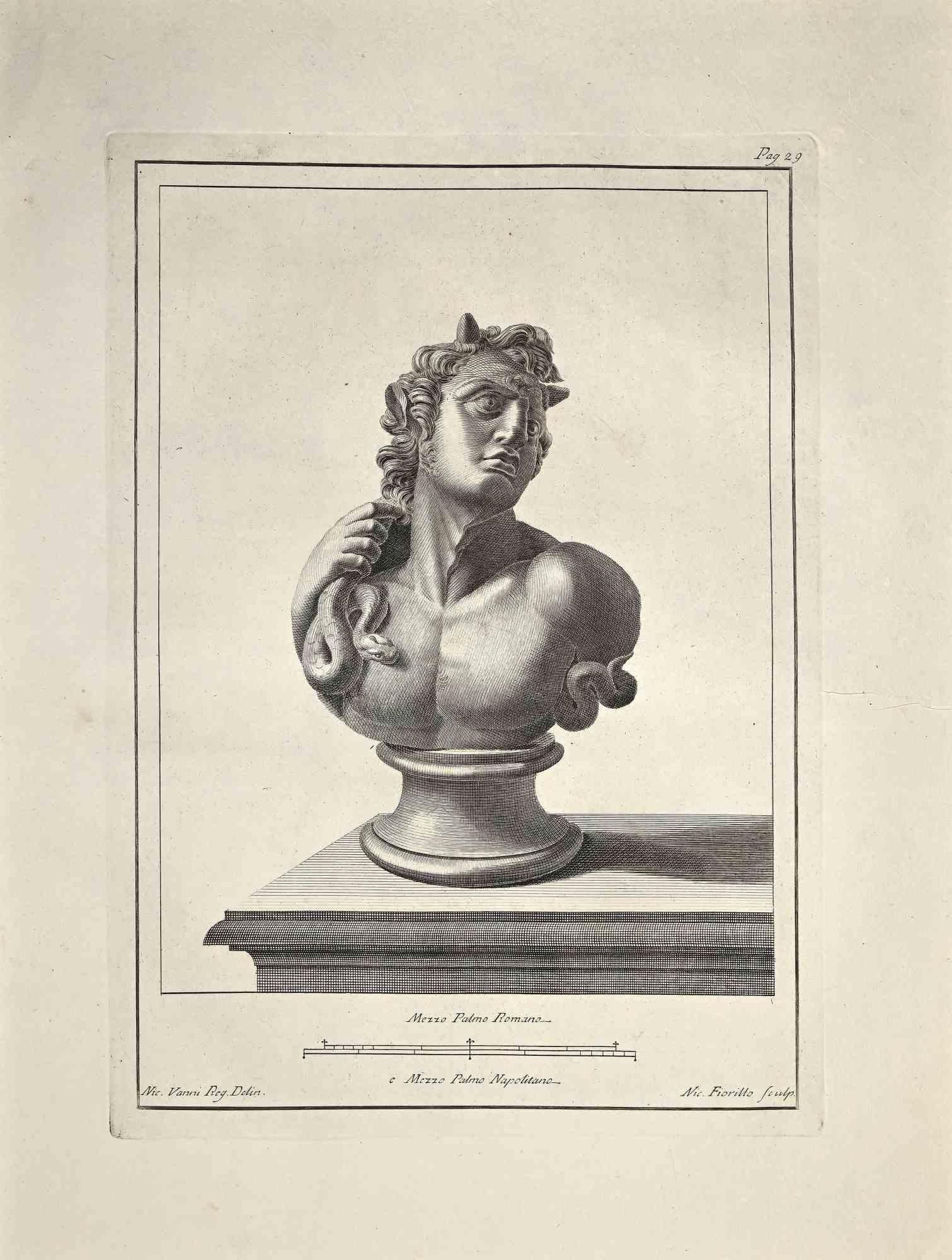 Ancient Roman Bust - Etching by Nicola Fiorillo - Late 18 Century
