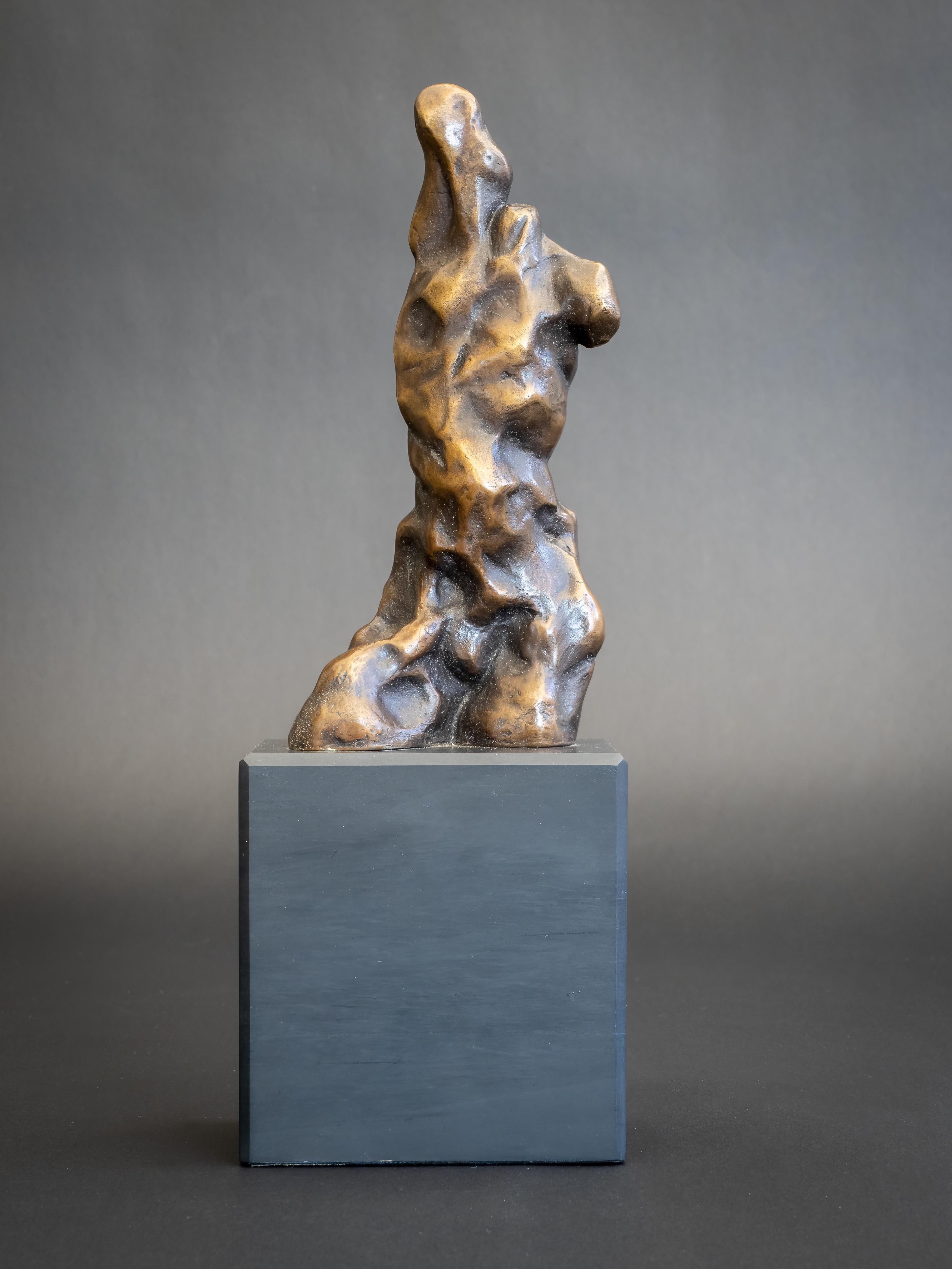 Adam II-original figurative bronze sculptures-artworks for sale-contemporary Art - Sculpture by Nicola Godden