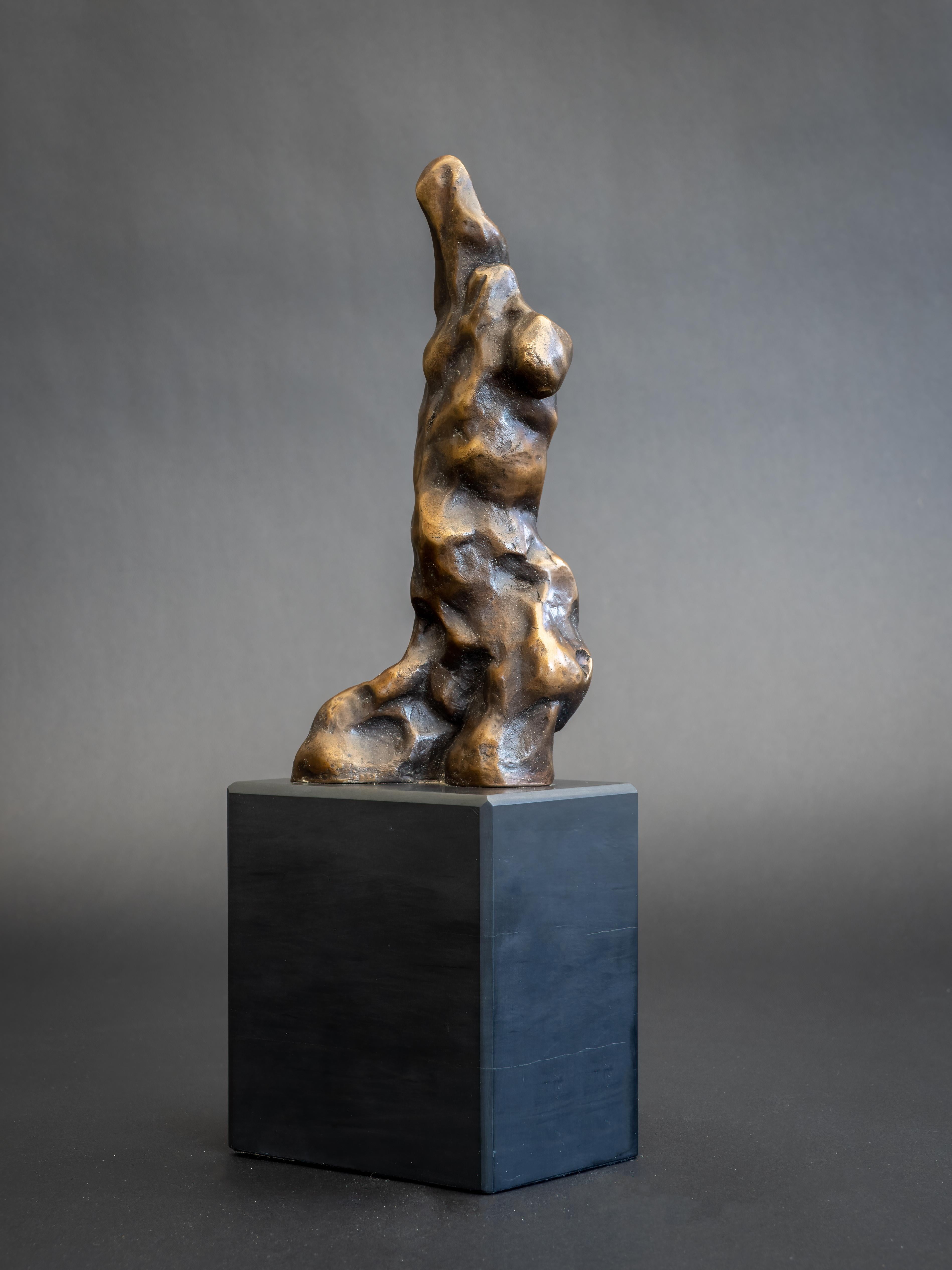 Adam II - Originale figurative Bronzeskulpturen - Kunstwerke zum Verkauf - Zeitgenössische Kunst (Gold), Figurative Sculpture, von Nicola Godden