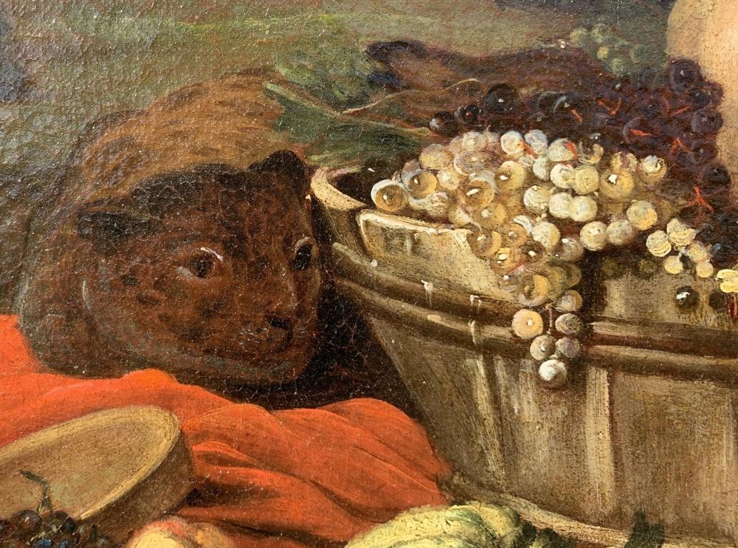 Nicola Malinconico (Napoli) - Natura morta del XVII secolo - Satiri animali 9