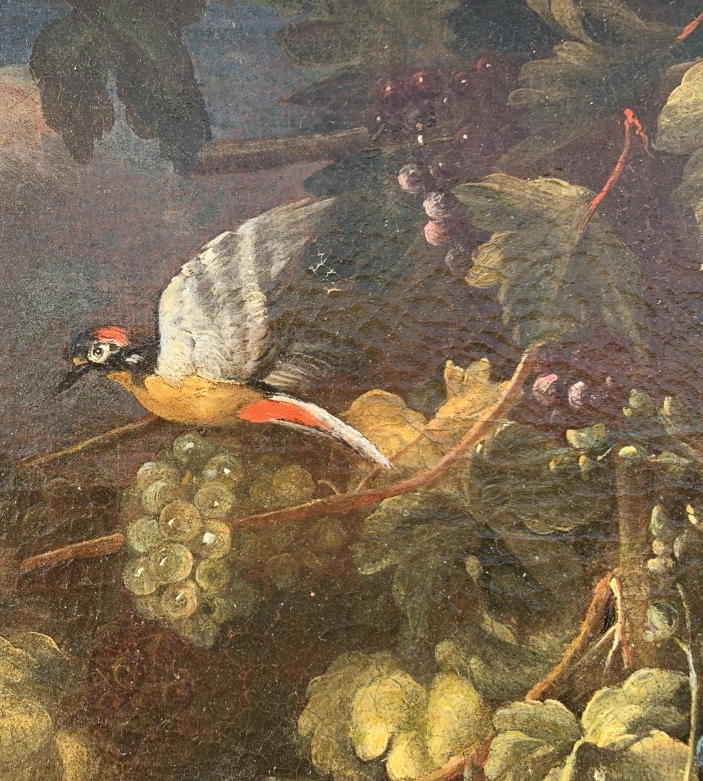 Nicola Malinconico (Napoli) - Natura morta del XVII secolo - Satiri animali 7