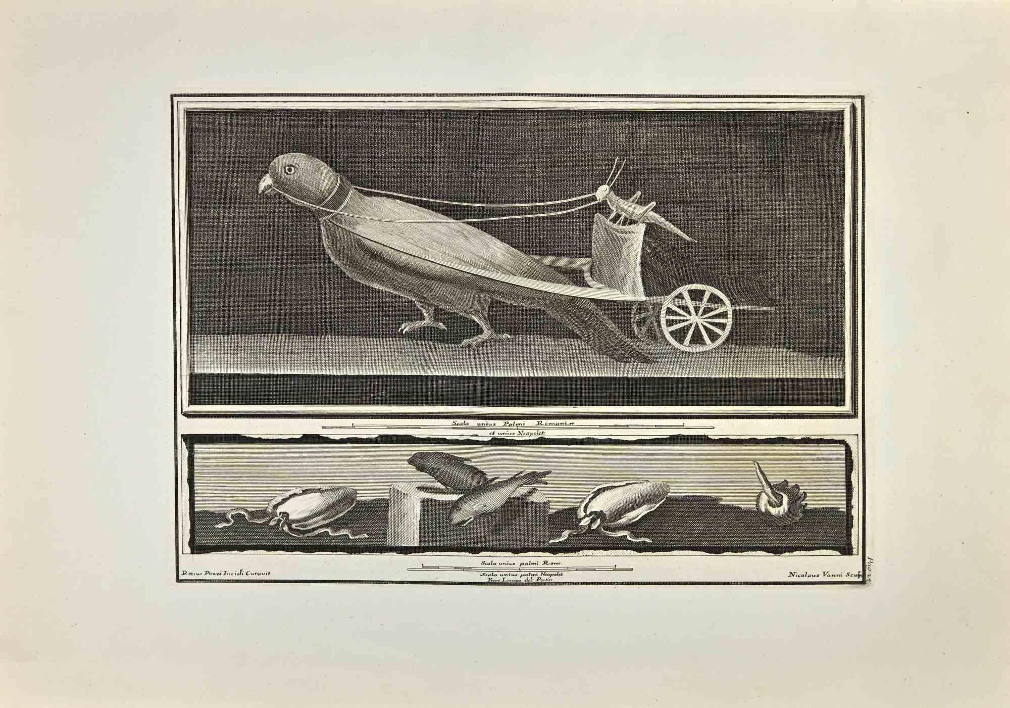 Der Grashüpfer am Steuer eines Papageienwagens aus den "Altertümern von Herculaneum" ist eine Radierung auf Papier von Nicola Vanni nach Roccus Pozzi aus dem 18. Jahrhundert.

Signiert auf der Platte.

Guter Zustand mit einigen Faltungen.

Die