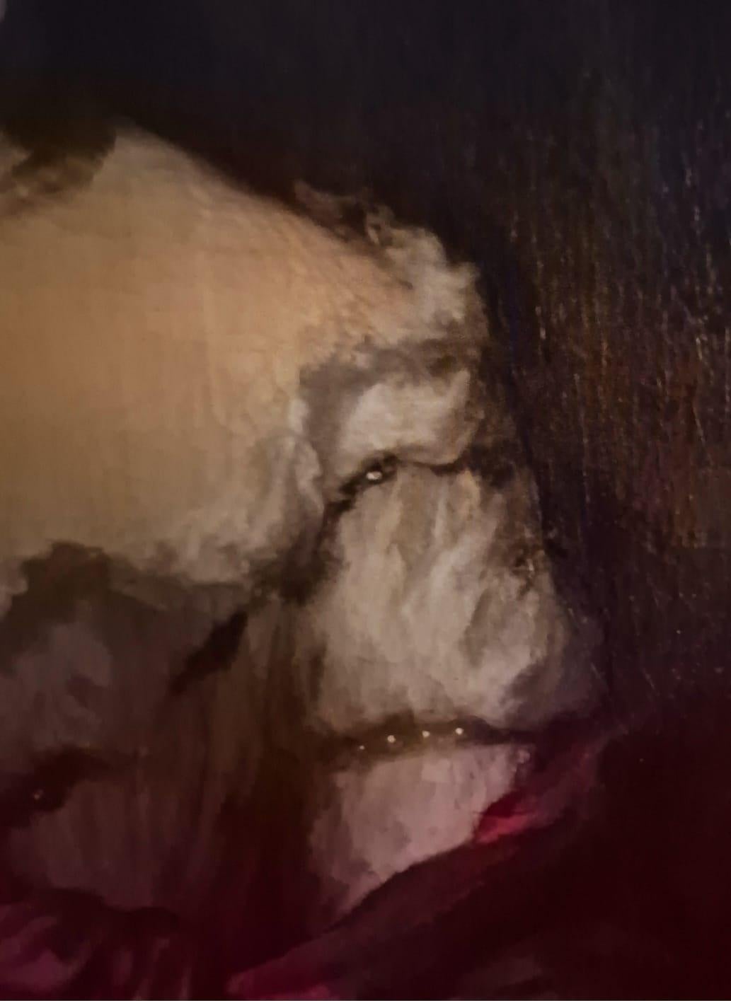 Sig. Nicolaes Maes in vendita 6