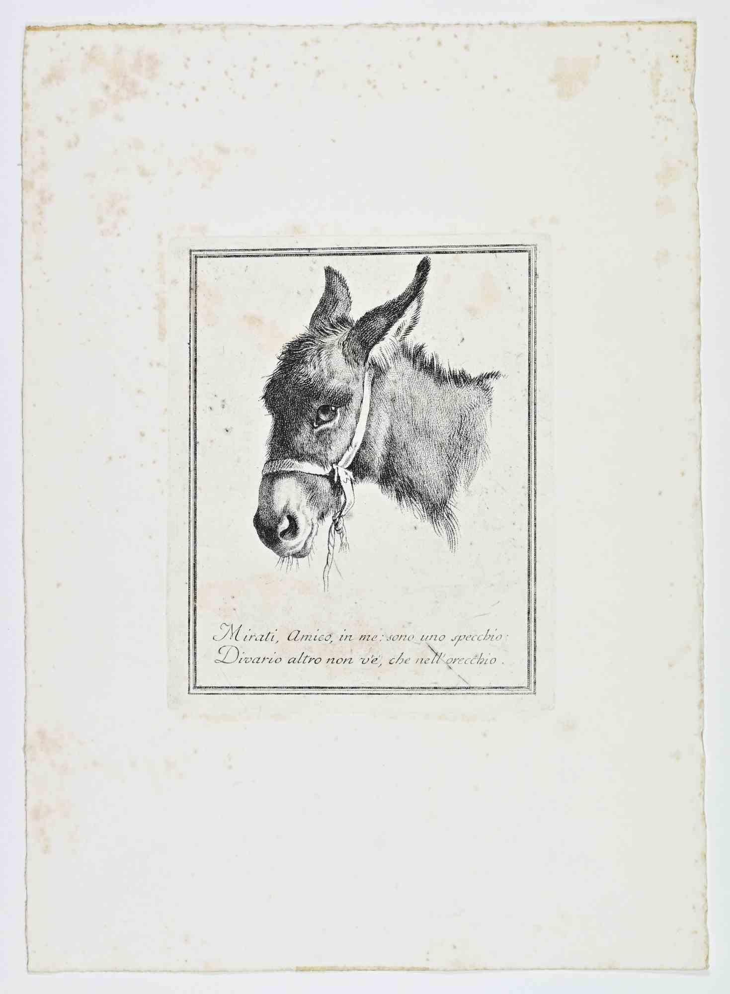 Nicolaes Pietersz Berchem (Haarlem 1620 - Amsterdam 1683) Animal Print - Head of Donkey - Etching after Nicolaes Pietersz Berchem - 17th Century
