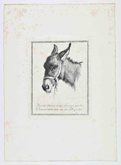 Head of Donkey - Etching after Nicolaes Pietersz Berchem - 17th Century