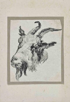 Goat - Etching by Nicolaes Pieterszoon Berghem - 17th Century
