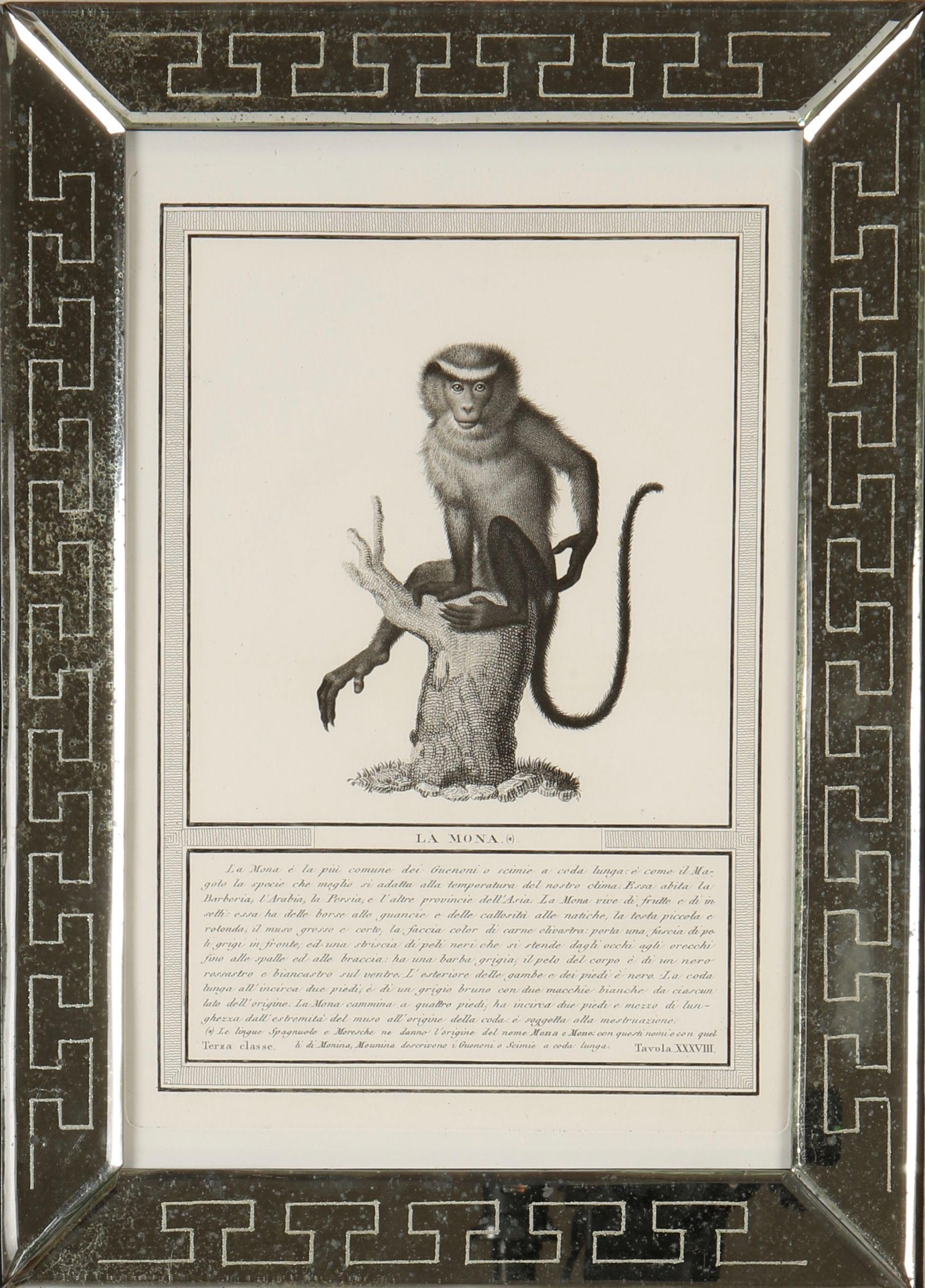 Nicolas Jacob: Stipple Engravings of Monkeys, C1810, Set of 12 - Print by Nicolas Henri Jacob
