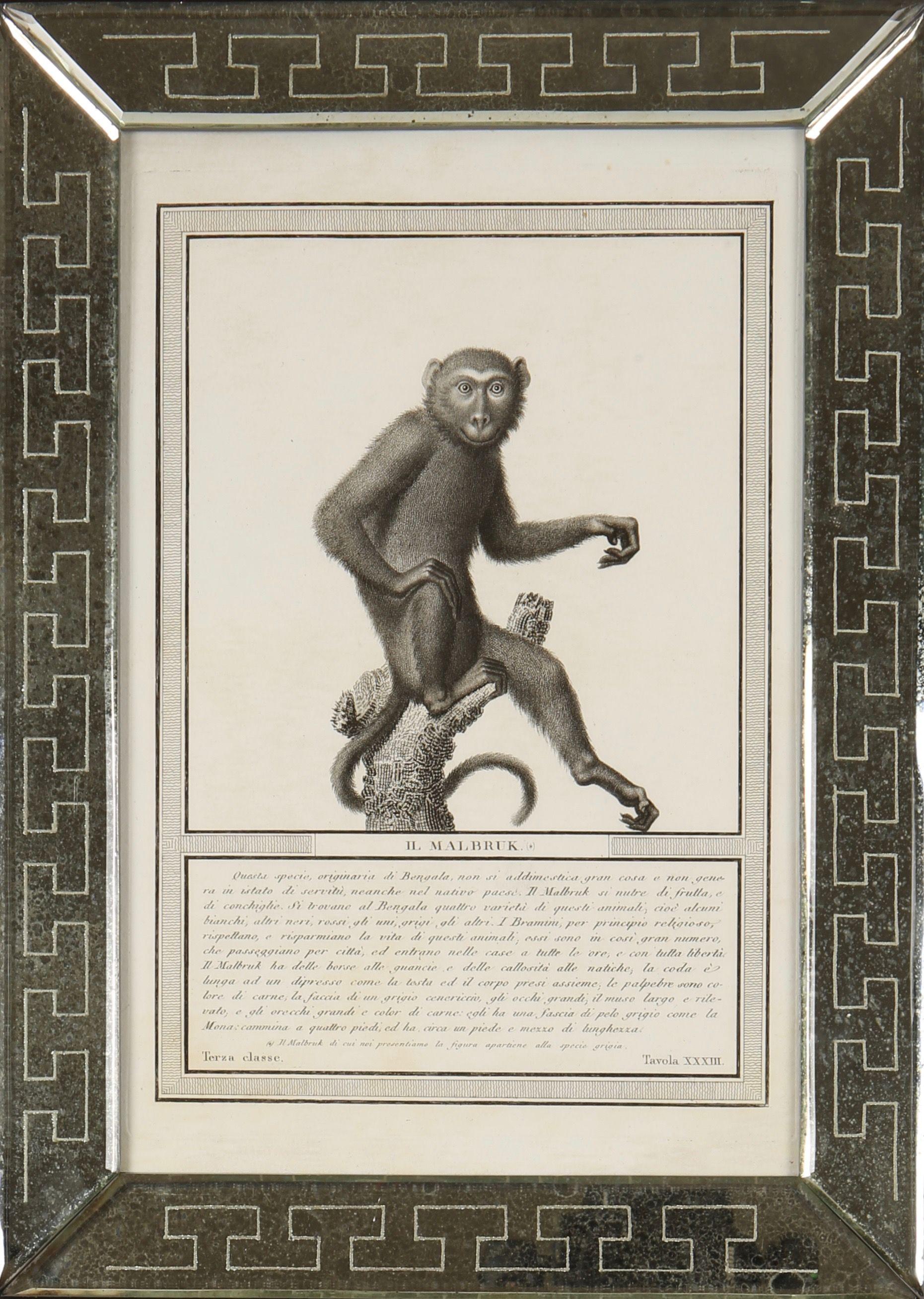 Animal Print Nicolas Henri Jacob - Nicolas Jacob : Stipple Engravings of Monkeys, C1810, ensemble de 12 pièces