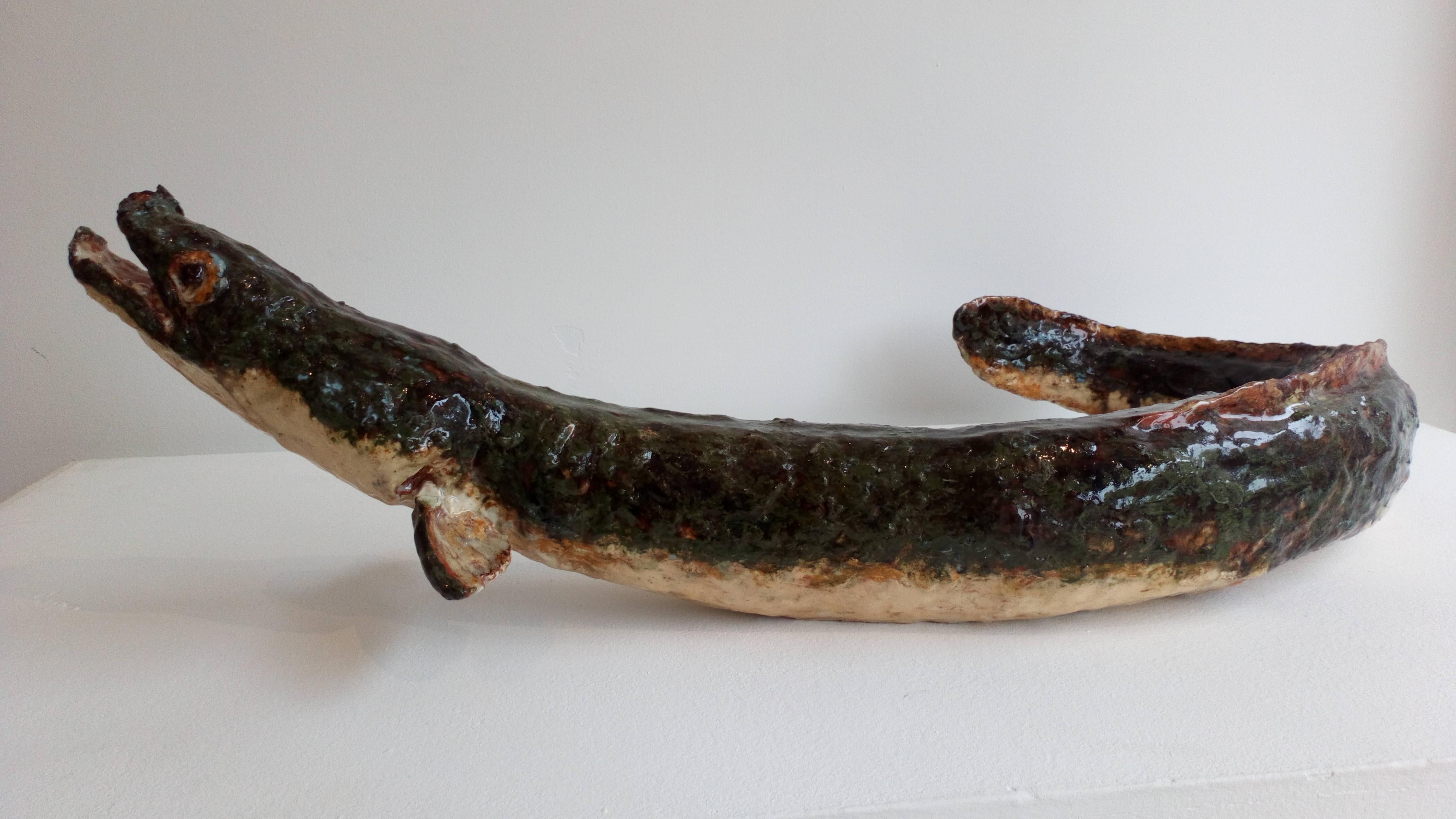 Sculpture contemporaine d'anguille en terre cuite en forme de poisson de la nature de Nicolas Kennett