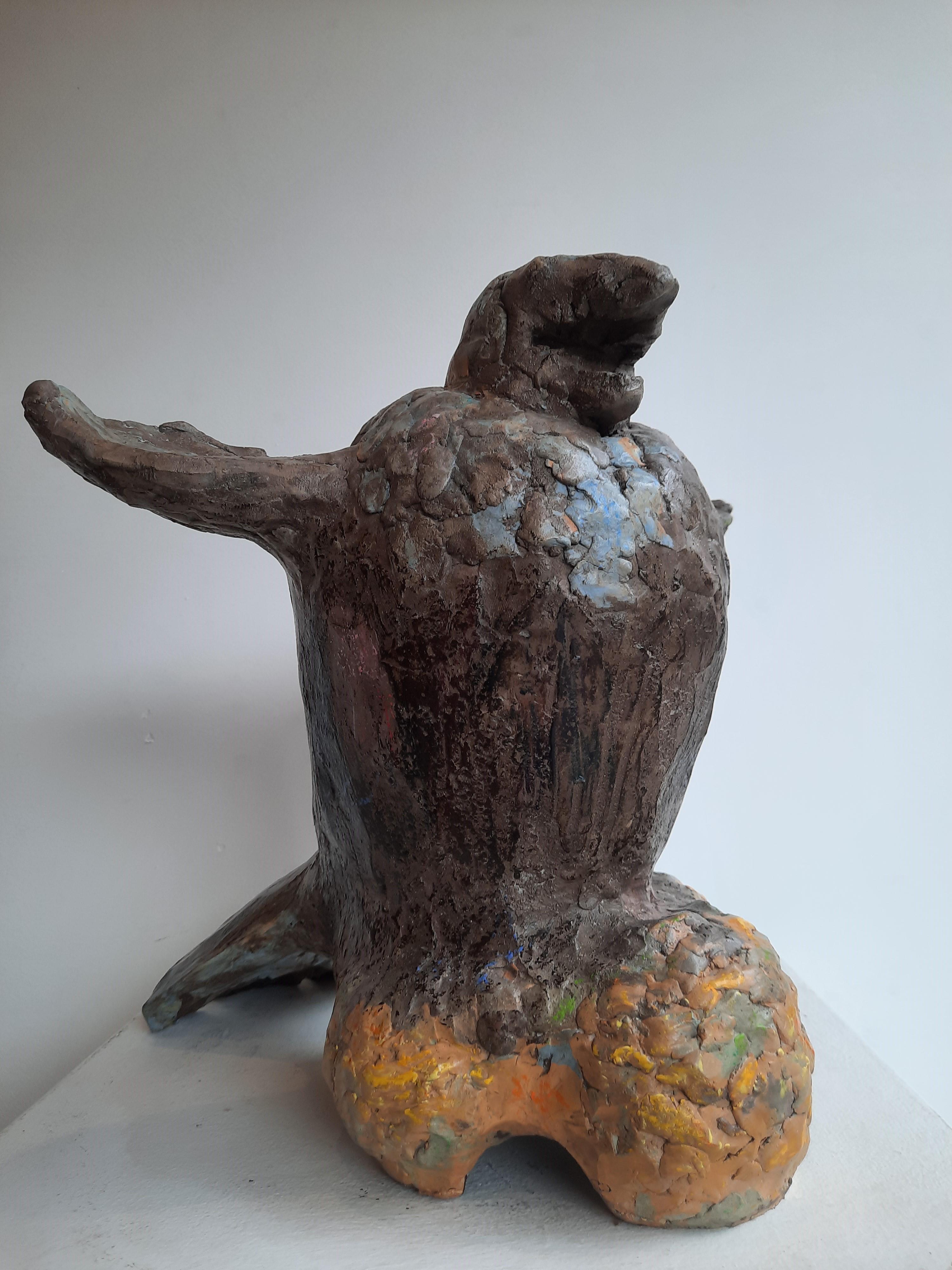 Hawk Nicolas Kennett Contemporary sculpture animal terracotta bird For Sale 1