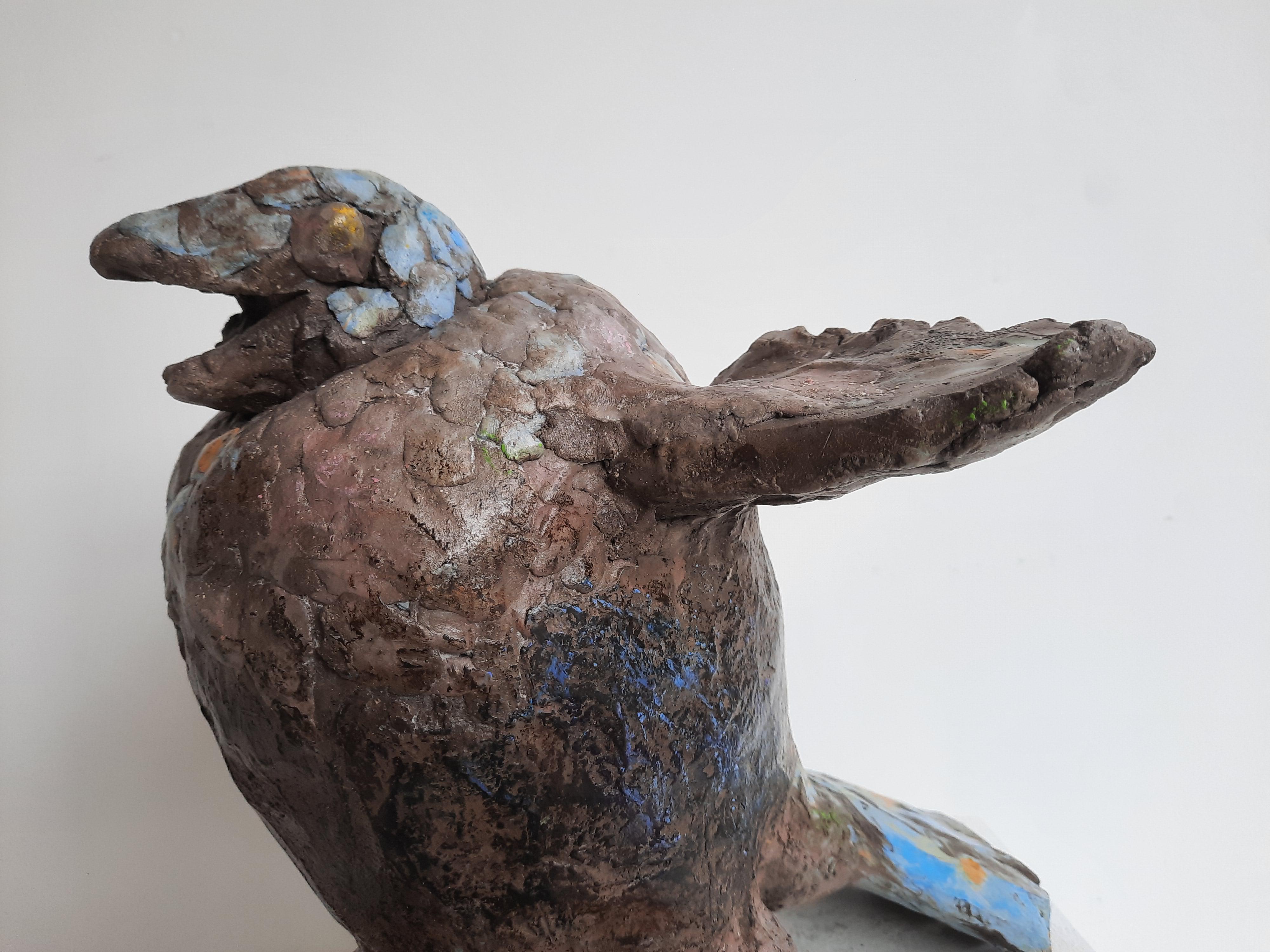 Hawk Nicolas Kennett Contemporary sculpture animal terracotta bird For Sale 2