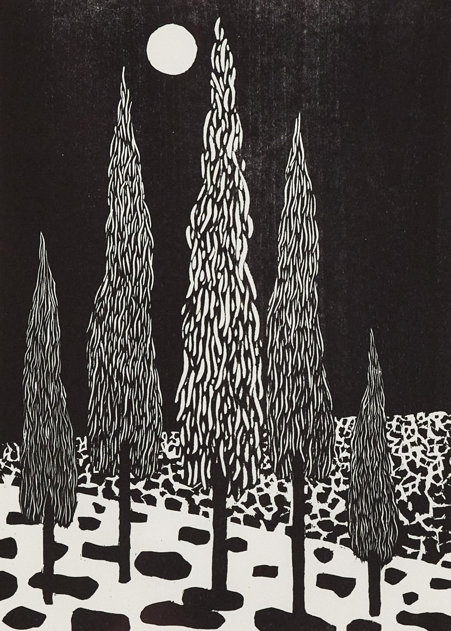 Trees For Sale 5