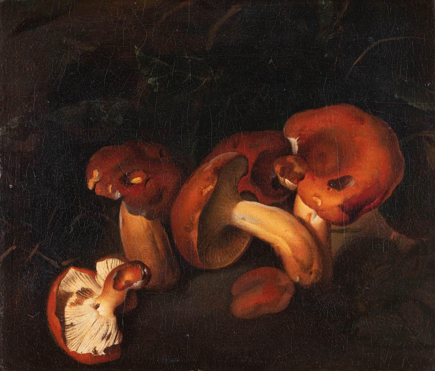 Nature morte avec champignons du 17ème siècle par Nicolas van Houbraken Huile sur toile - Painting de Nicolas Van Houbraken