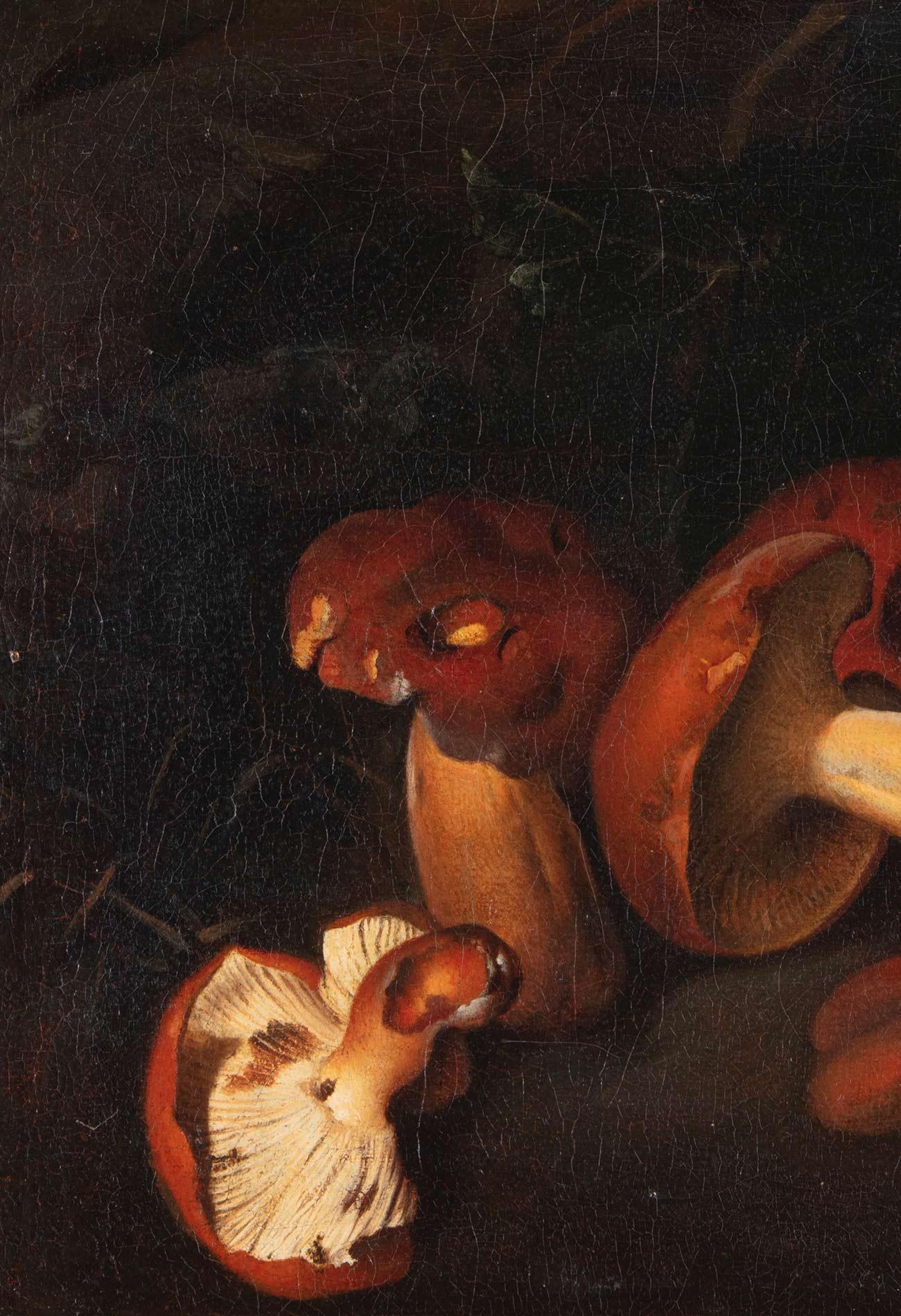 Nature morte avec champignons du 17ème siècle par Nicolas van Houbraken Huile sur toile - Maîtres anciens Painting par Nicolas Van Houbraken