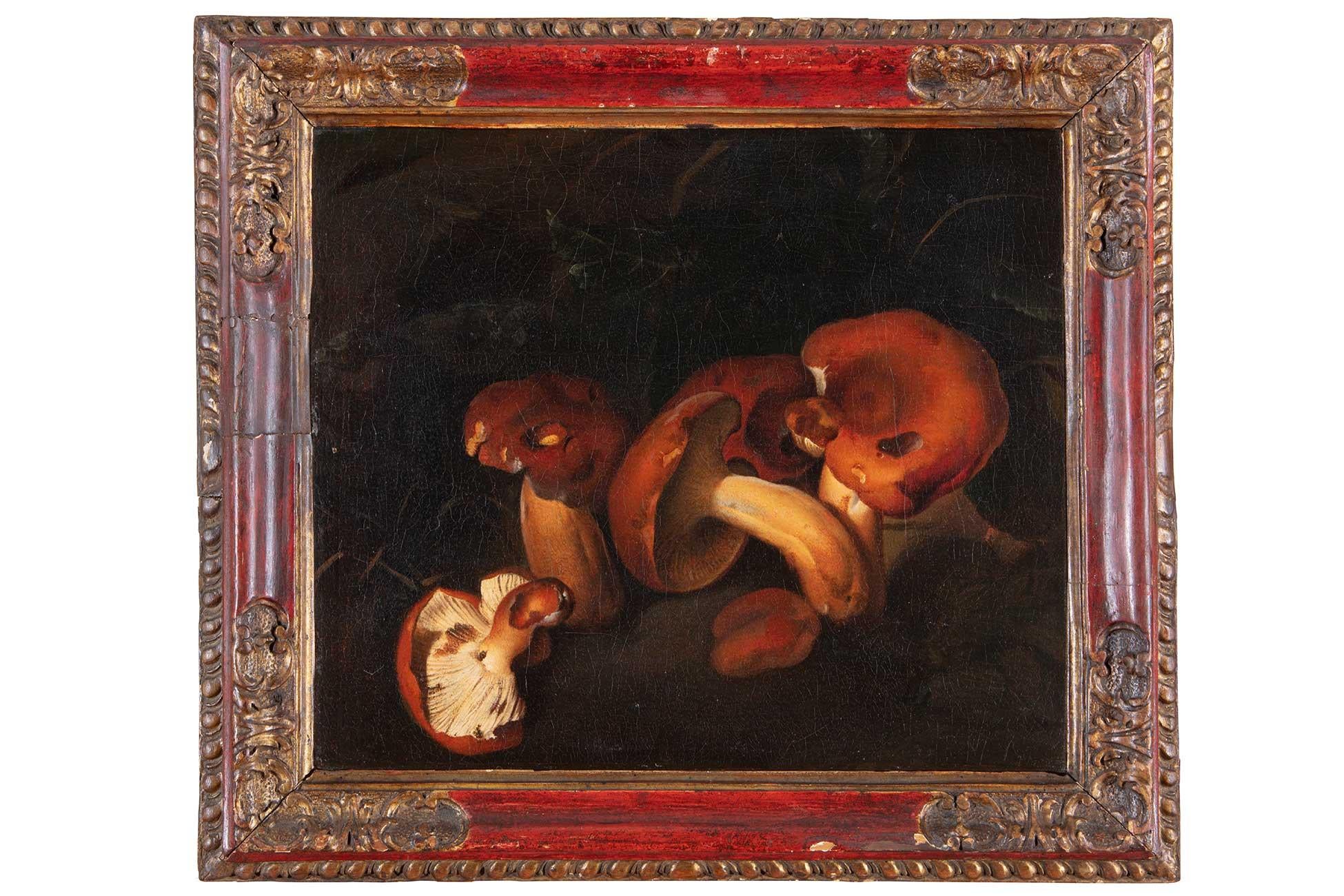 17th Century by Nicolas van Houbraken Still Life with Mushrooms Oil on Canvas