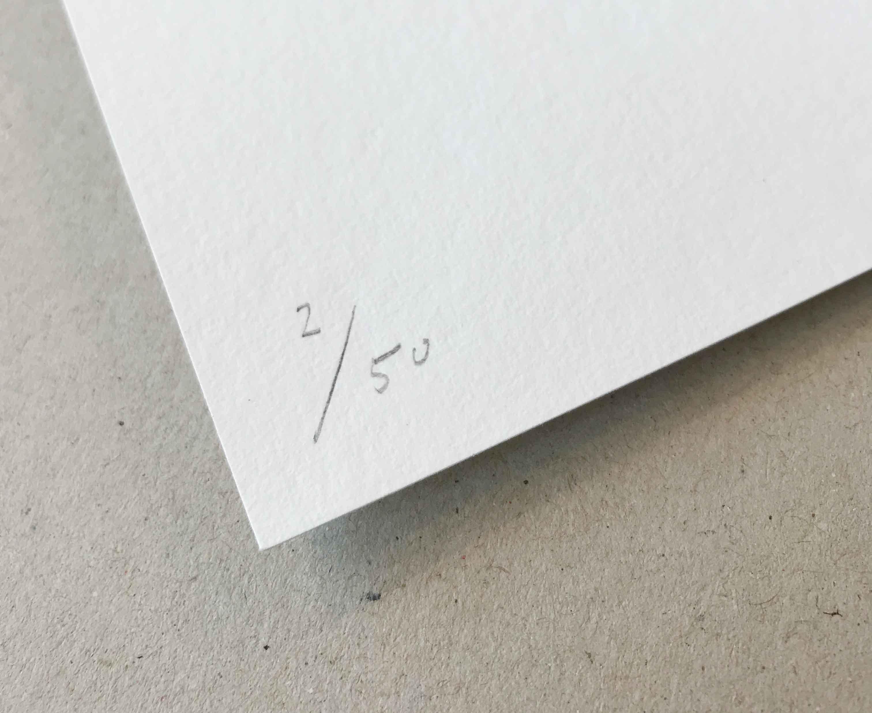 Nicole Lin
Mouvement-Contemporain, Abstrait, Moderne, Surréaliste
2018

Impression d'art giclée sur papier de gravure allemand. 
Dimensions Hauteur : 406mm Largeur : 304mm  (Papier non encadré)  
Signé à la main par l'artiste, et certificat