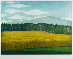 « Untitled (field, hills trees) », aquatinte de paysage originale de Nicolette Jelen