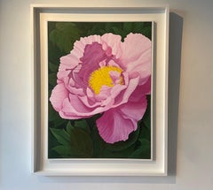 "Phoenix Purple" Contemporary Realistic Detailed Pink And Yellow Rose Portrait