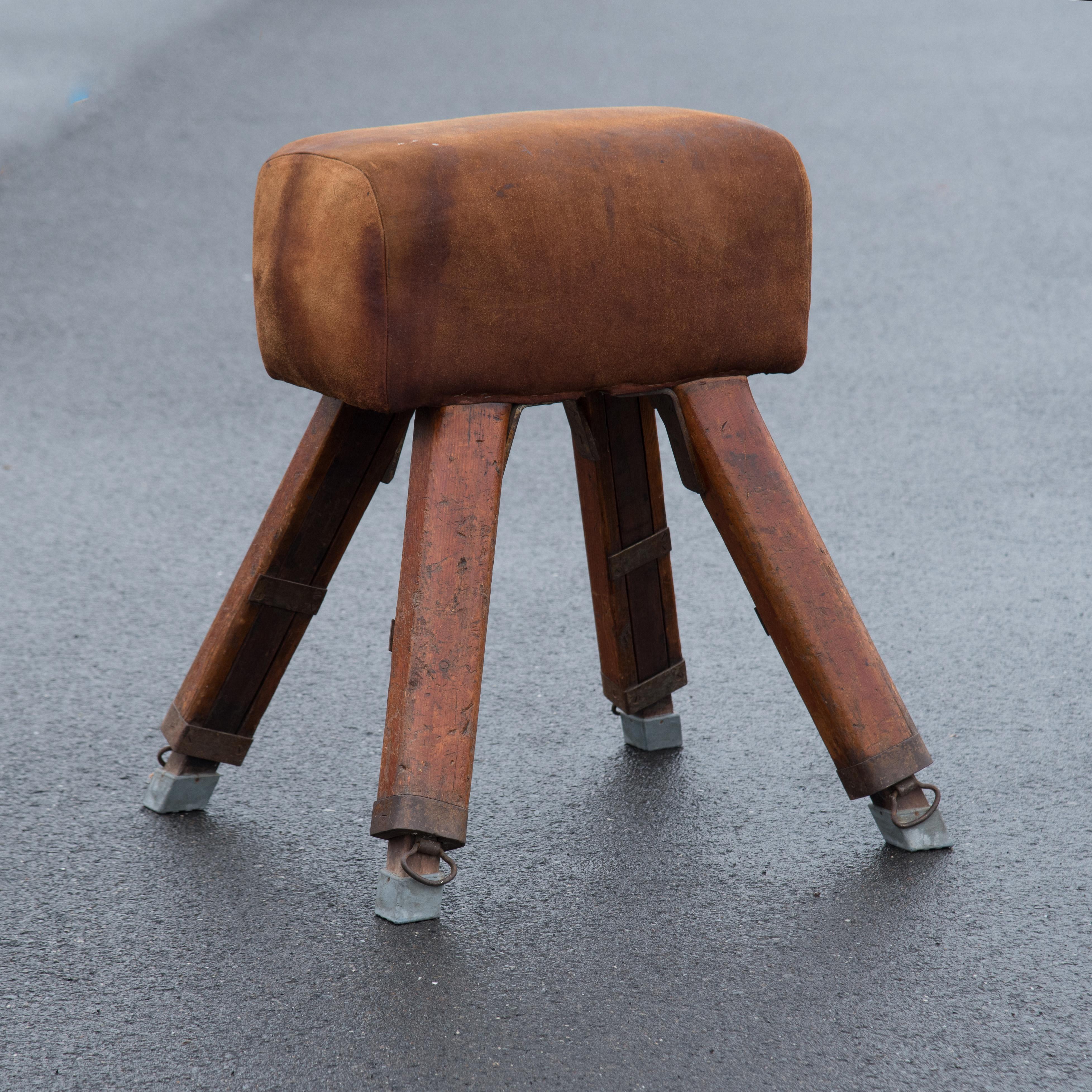 Niels Larsen & Sons Suede Pommel Horse For Sale 1