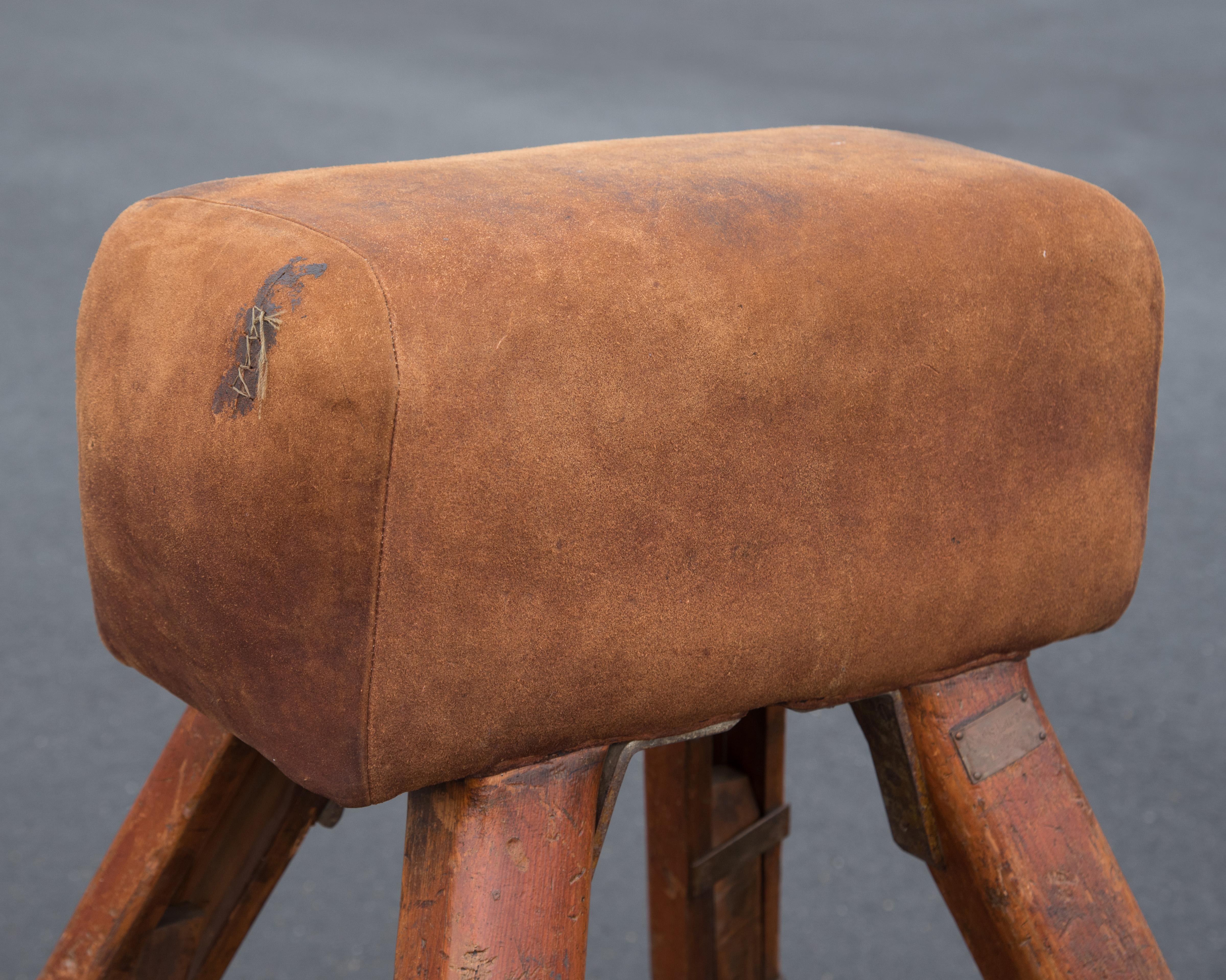 Niels Larsen & Sons Suede Pommel Horse For Sale 2