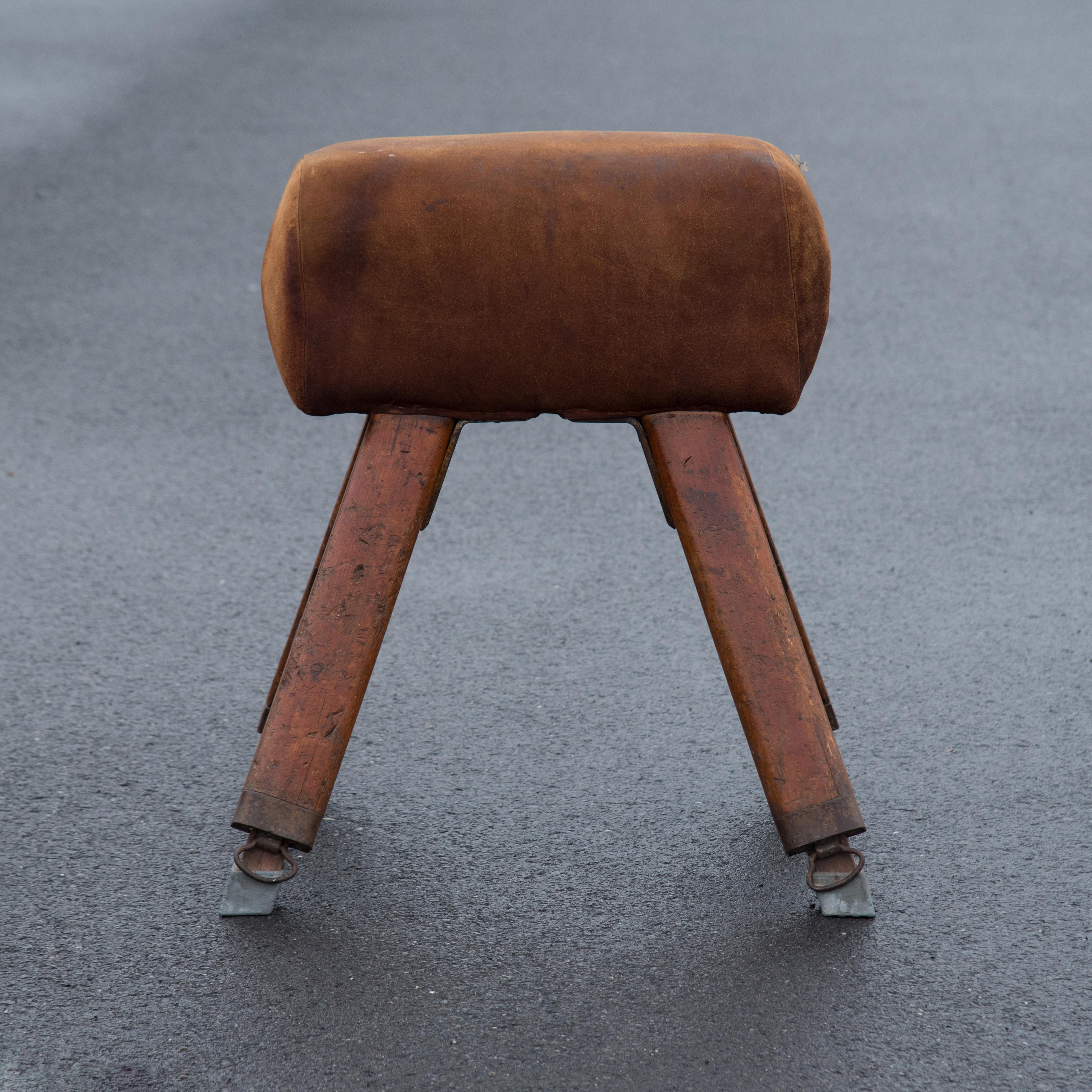 Leather Niels Larsen & Sons Suede Pommel Horse For Sale