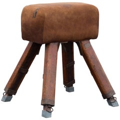 Cheval d'arçon en daim Niels Larsen & Sons