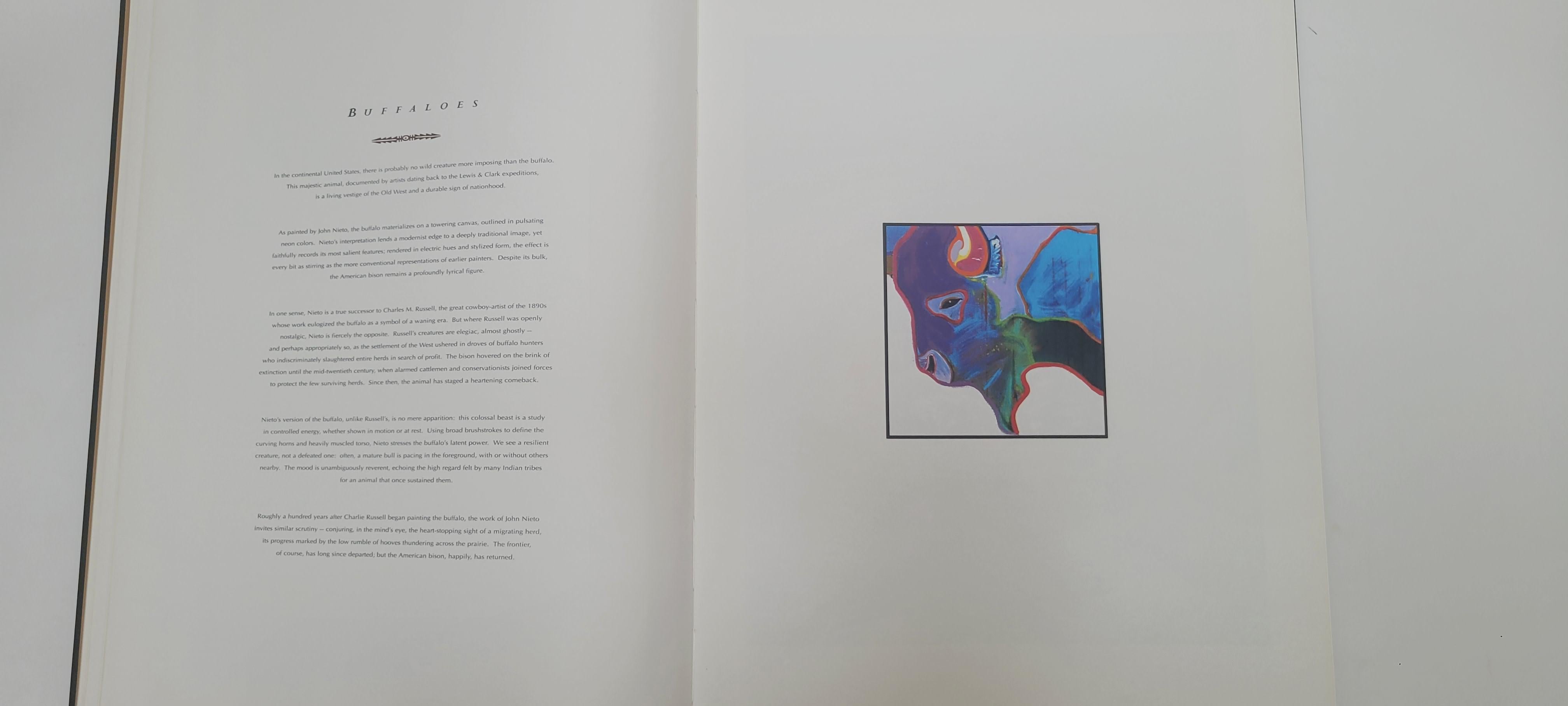 Livre de Nieto - Les Livres des Peintres en vente 1