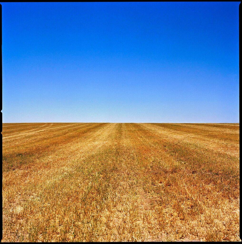 Nigel Parry Color Photograph - Wyoming - blue sky and golden fields of grass