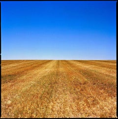 Wyoming - ciel bleu et champs d'herbe dorés