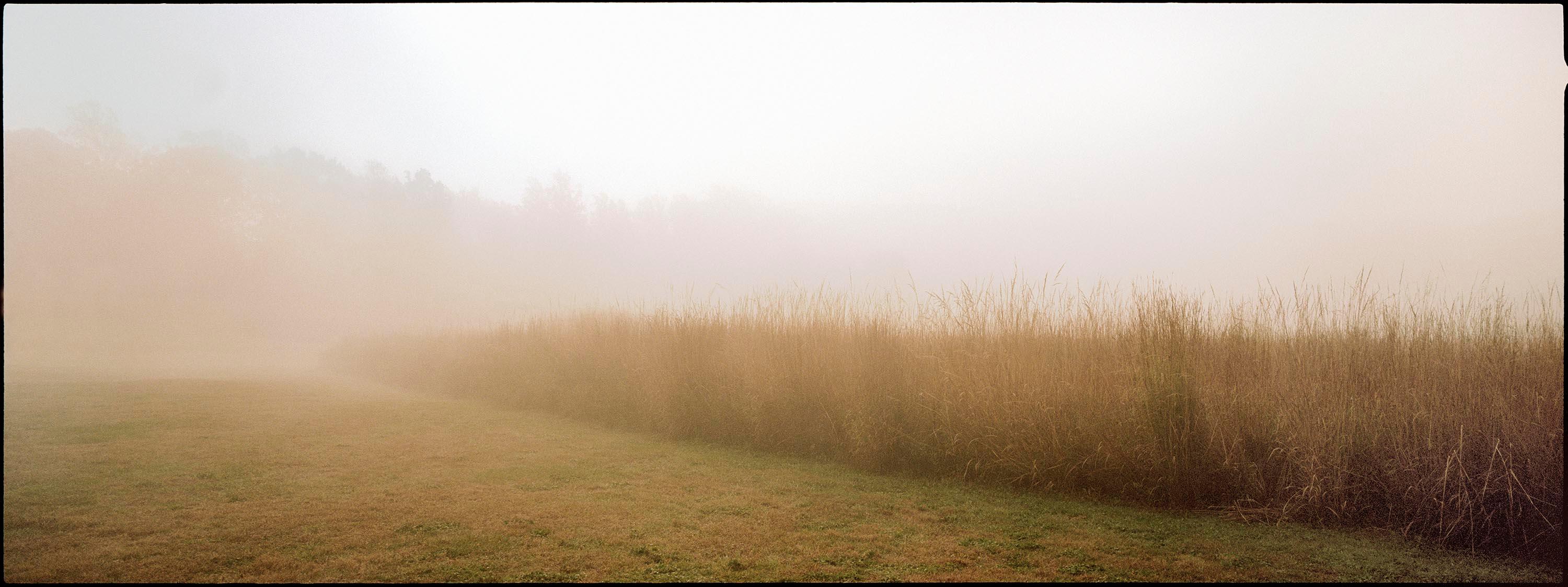 Grass - Limited Edition Archival Pigment Print, Contemporary Landscape