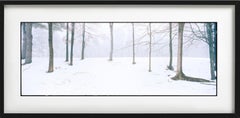Home -  Limited Edition Fine Art Photography