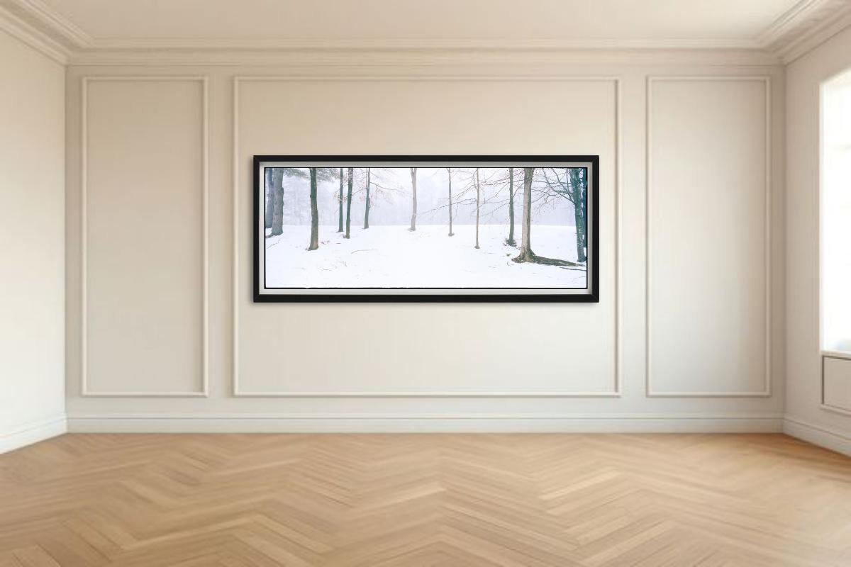 Alberi con neve e nebbia, fotografati da Nigel Parry nel 2021.

Tutte le stampe sono in edizione limitata. Disponibile in più misure. Cornici di alto livello su richiesta.

Tutte le stampe sono realizzate e firmate dall'artista. Il collezionista