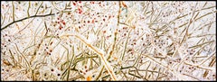 Ice Storm - Frozen twigs and Berrys, Fine Art Photography