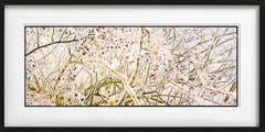 Ice Storm -  Limited Edition Fine Art Photography