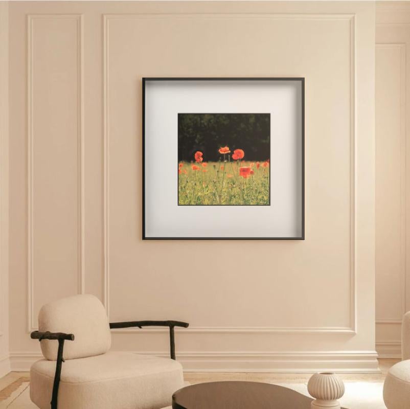 Rote Mohnblumen - Blumenfeldlandschaft, Kunstfotografie im Angebot 5