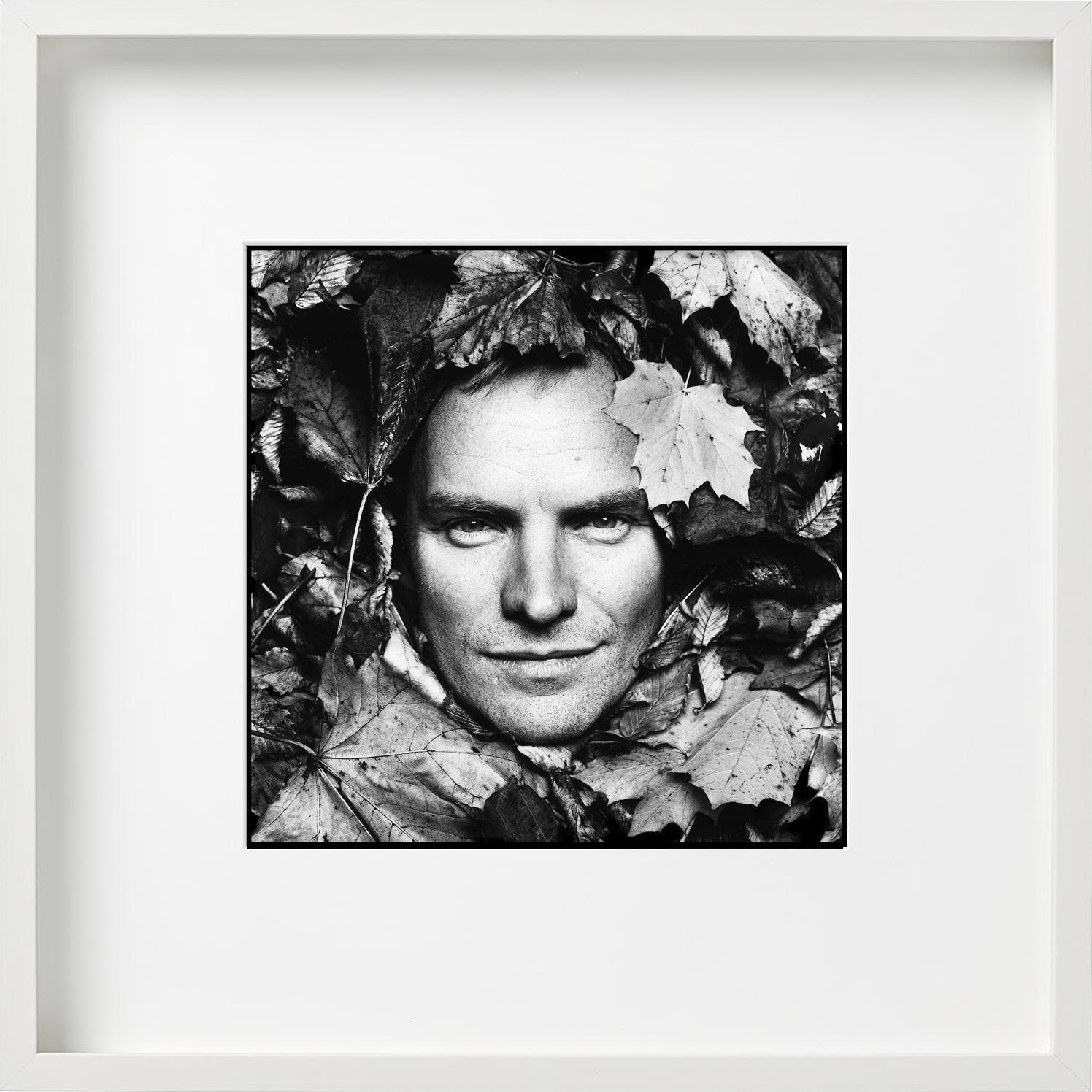 Sting, B/N, La casa di Sting, Diptych Fine Arts Photography, 1994 in vendita 7