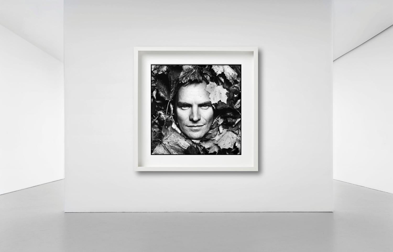 Sting, B/N, La casa di Sting, Diptych Fine Arts Photography, 1994 in vendita 8