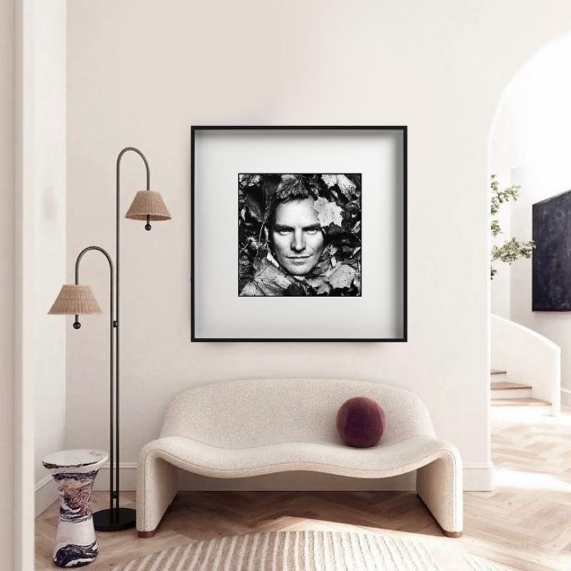 Sting, B/N, La casa di Sting, Diptych Fine Arts Photography, 1994 in vendita 9