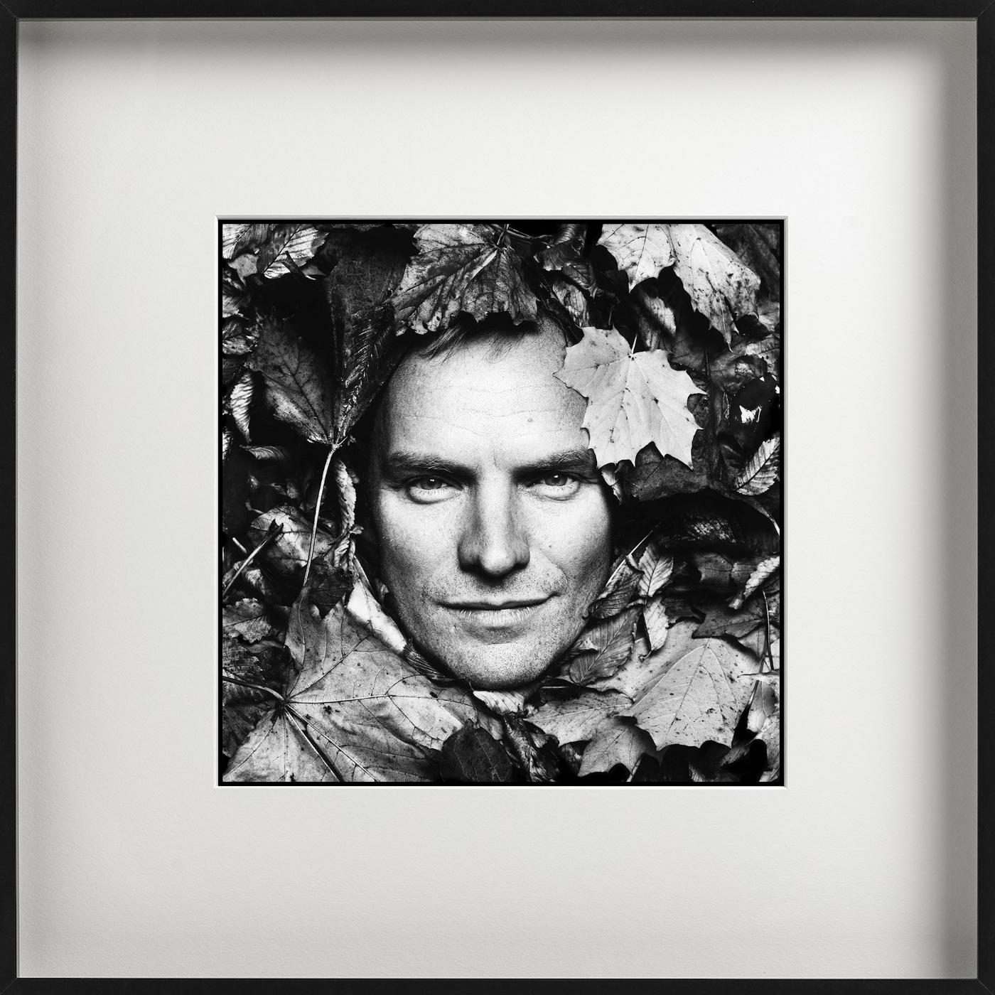 Sting, B/N, La casa di Sting, Diptych Fine Arts Photography, 1994 in vendita 1