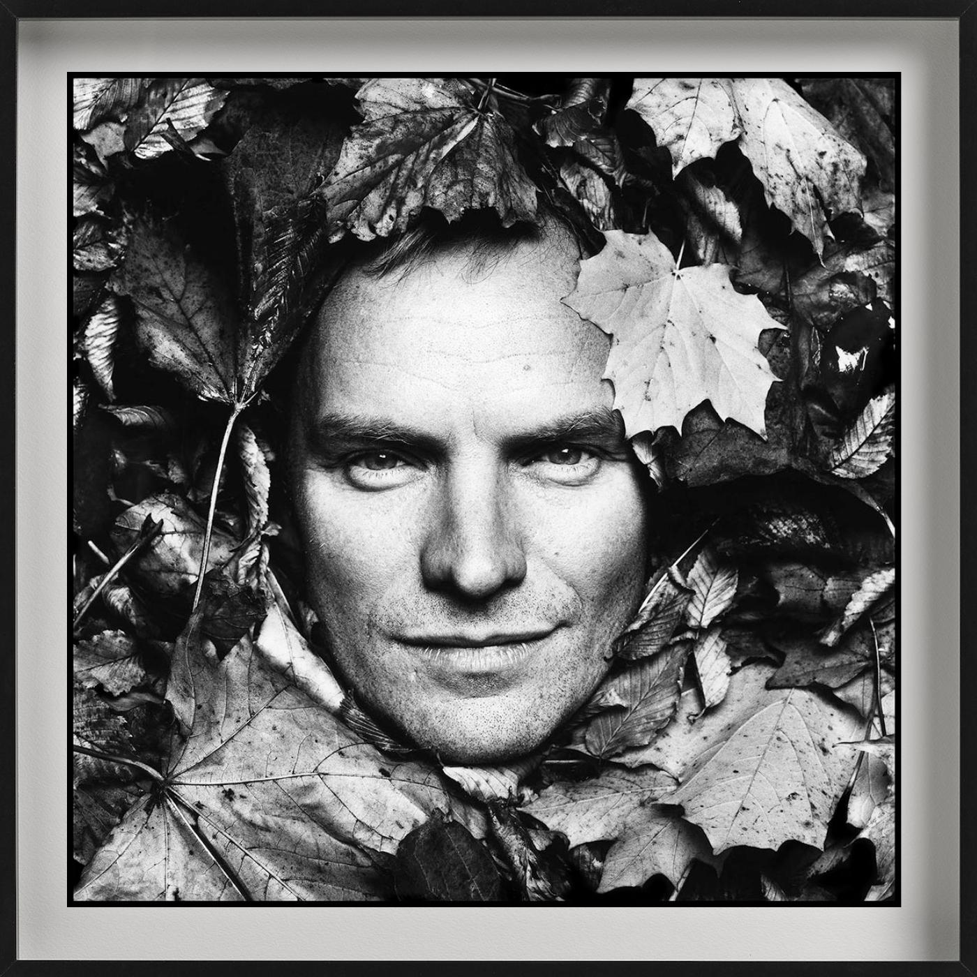 Sting, B/N, La casa di Sting, Diptych Fine Arts Photography, 1994 in vendita 2