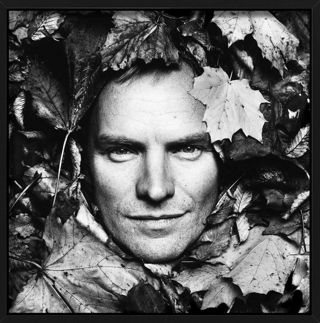 Sting, B/N, La casa di Sting, Diptych Fine Arts Photography, 1994 in vendita 3