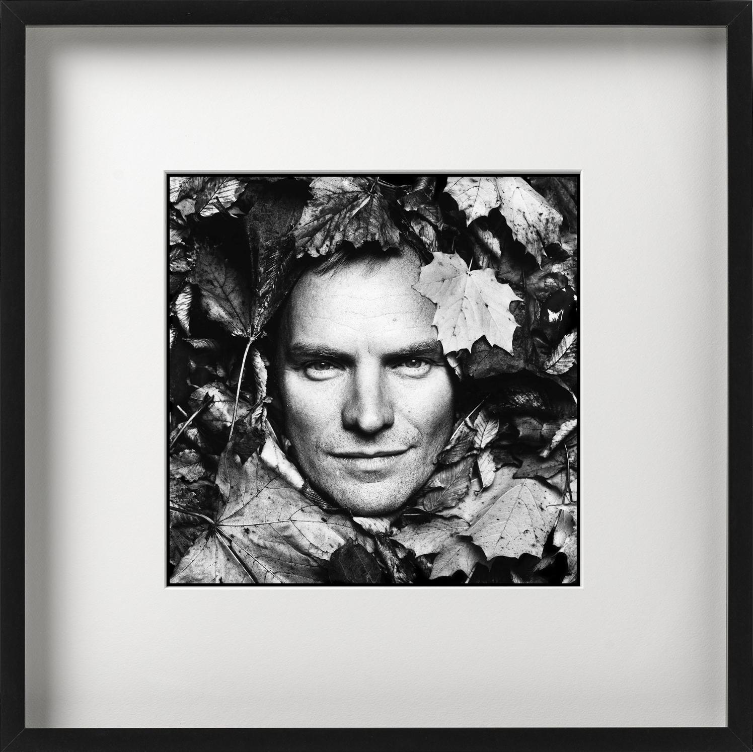 Sting, B/N, La casa di Sting, Diptych Fine Arts Photography, 1994 in vendita 4